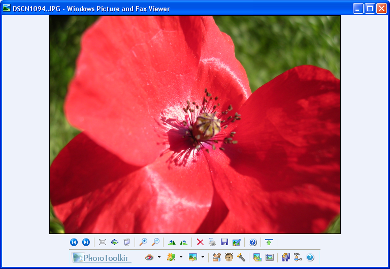 windows picture and fax viewer download